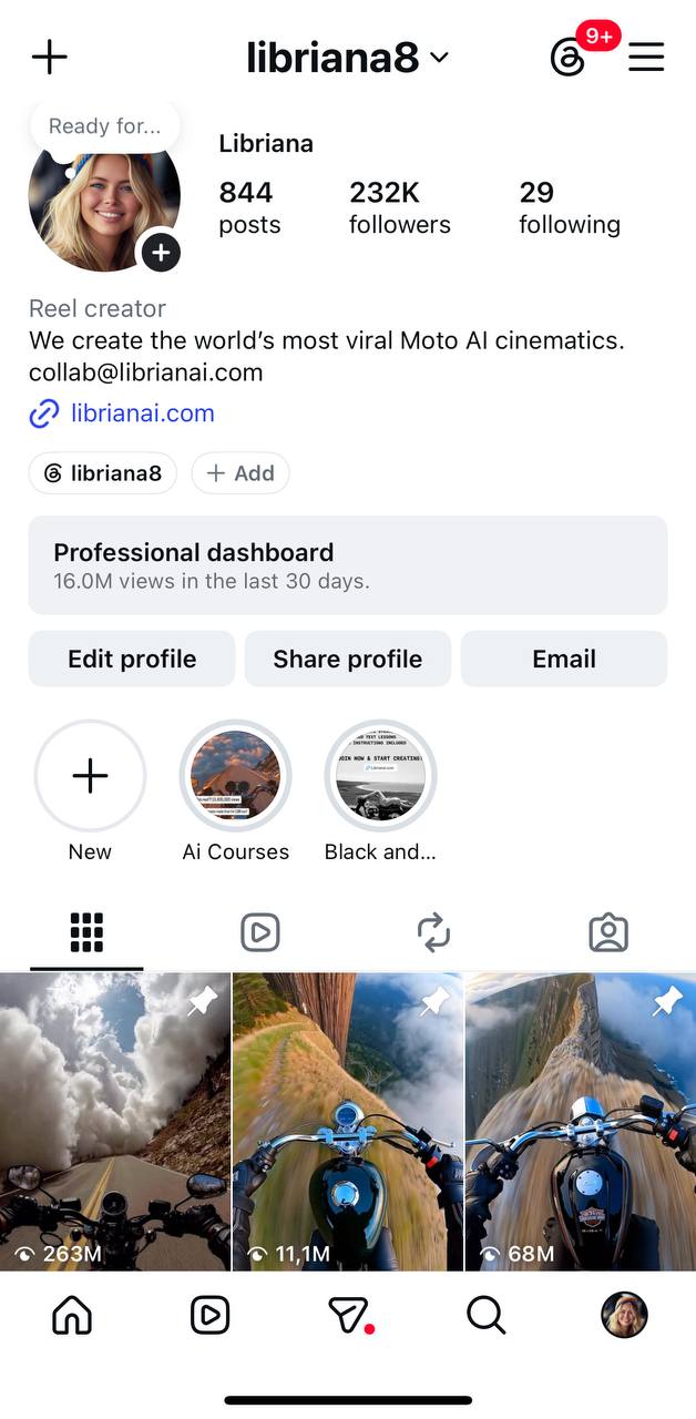 Instagram Insights - PROFILE